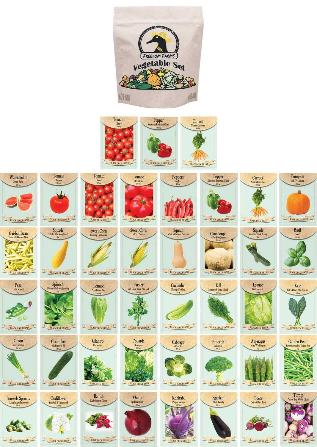 Set of 43 Assorted Vegetable & Herb Seed Packets