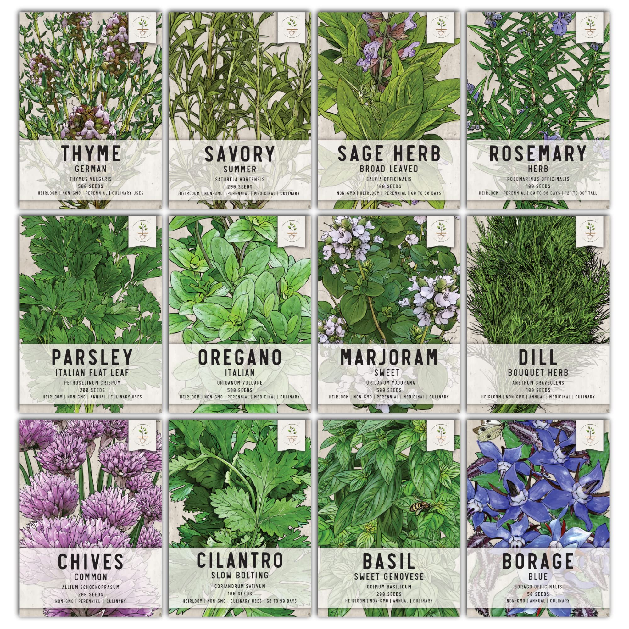 Seed Needs Culinary Herb Collection