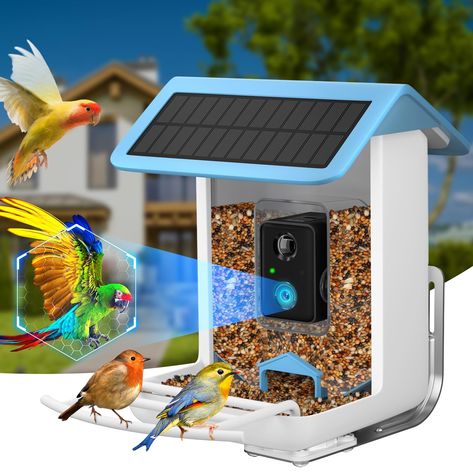 Smart Bird Feeder with Camera